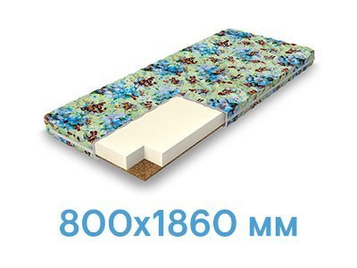 размер 800x1860 800x1860