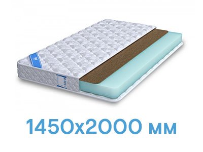 размер 1450x2000 1450x2000