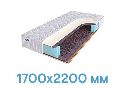 размер 1700x2200 1700x2200