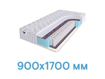 размер 900x1700 900x1700