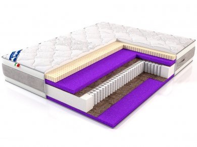  LineaFlex Qween Latex 30 - 1 (,  1)