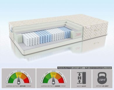 Матрас Alitte Ericksen S1000 M-26-E - 1 (изображение 1) Матрас Alitte Ericksen S1000 M-26-E - 1 (фотография, изображение 1)