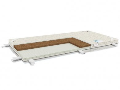  Alitte Morris HM-6-N ()