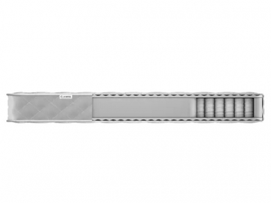  Corretto Vega Corretto - 12 (,  12)