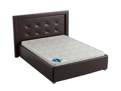 Кровать Dimax Норма плюс Кровать Dimax Норма плюс (фотография)