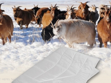 Hefel Pure Wool - 2 (изображение 2)  Hefel Pure Wool - 2 (фотография, изображение 2)