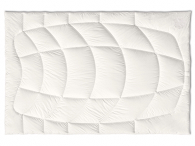 Kauffmann Camel Hair Light - 1 (изображение 1)  Kauffmann Camel Hair Light - 1 (фотография, изображение 1)