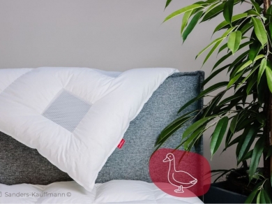 Kauffmann Climabalance Light  Kauffmann Climabalance Light (фотография)