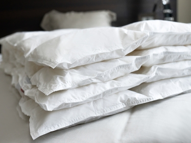 Kauffmann Eiderdown - 1 (изображение 1)  Kauffmann Eiderdown - 1 (фотография, изображение 1)