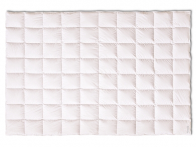 Kauffmann Finesse Warm - 1 (изображение 1)  Kauffmann Finesse Warm - 1 (фотография, изображение 1)