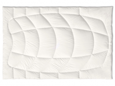 Kauffmann Silk Light - 1 (изображение 1)  Kauffmann Silk Light - 1 (фотография, изображение 1)