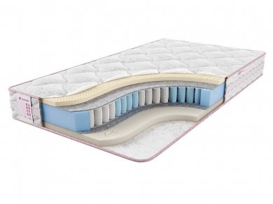  Sontelle Vivre Castom team ()