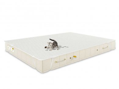  Benartti Cotton Benartti ()