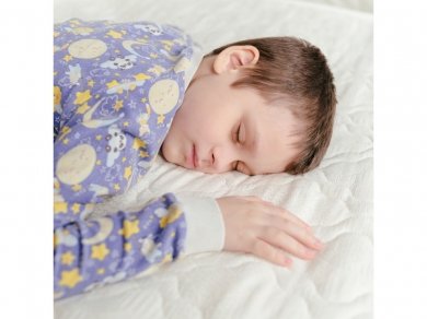  Armos Normal best  - 2 (,  2)