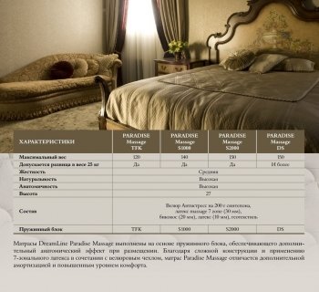  Dreamline Paradise Massage S1000 - 2 (,  2)