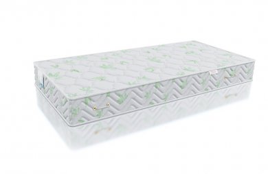  Alitte Rembrandt S1000 MH-21-K - 2 (,  2)