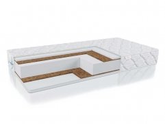 Thomas M-20-K Thomas M-20-K