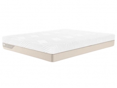  - Duet Latex Econom - 2 (,  2)