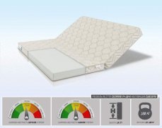  Alitte Cezanne M-10-E - 1 (,  1)