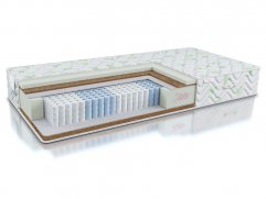 Rembrandt S1000 MH-21-K