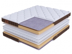 Life Latex Double S600 mini Life Latex Double S600 mini