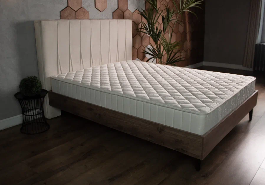  Benartti Roll Mega - 5 (,  5)