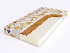 Kiddy Play - 1 (,  1)