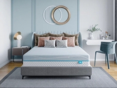  - Soft Temple - 3 (,  3)