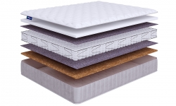  Beautyson Promo Lux 8 S600 - 4 (,  4)