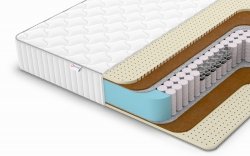  Classic Middle Soft TFK - 1 (,  1)