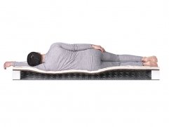 Матрас Dreamline Easy Norma BS - 2 (изображение 2) Матрас Dreamline Easy Norma BS - 2 (фото, изображение 2)