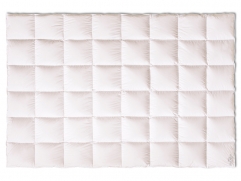 Kauffmann Bavaria Warm - 1 (изображение 1)  Kauffmann Bavaria Warm - 1 (фото, изображение 1)