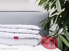 Kauffmann Camel Hair Light Camel Hair Light