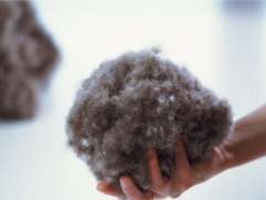 Kauffmann Eiderdown - 2 (изображение 2)  Kauffmann Eiderdown - 2 (фото, изображение 2)