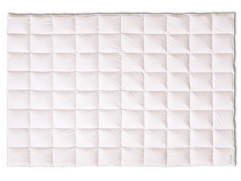 Kauffmann Finesse Warm - 1 (изображение 1)  Kauffmann Finesse Warm - 1 (фото, изображение 1)