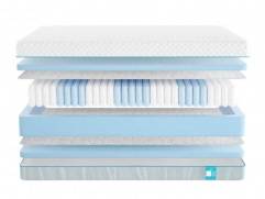  - Soft 18 Standart 5 - 1 (,  1)