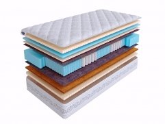 Real Zone Anatomic Real Zone Anatomic