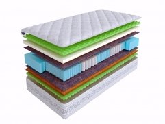 Real Zone Multi Real Zone Multi