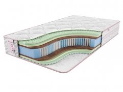  Sontelle Vivre Tense family R ()