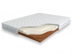 Cocos Contrast 12 SD Cocos Contrast 12 SD