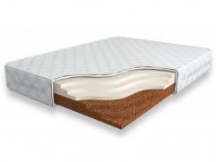 Cocos Contrast 18 SD Cocos Contrast 18 SD