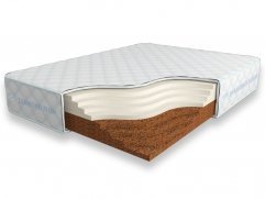 Cocos Contrast 24 SD Cocos Contrast 24 SD