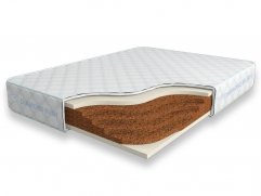 Cocos Lite 18 SD Cocos Lite 18 SD