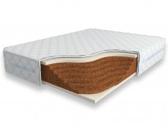 Cocos Lite 24 SD Cocos Lite 24 SD