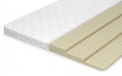  Lonax Latex 9 - 1 (,  1)