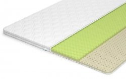  Lonax Relax  Latex 5 - 1 (,  1)