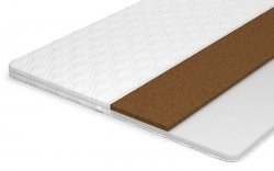  Strutto Cocos 6 - 1 (,  1)