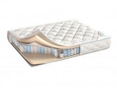  Corretto Katalina - 1 (,  1)