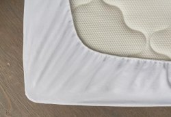  MaterLux    Materlux - 1 (,  1)