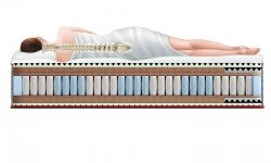 Sportletica Power-Expert massage - 1 (изображение 1)  Sportletica Power-Expert massage - 1 (фото, изображение 1)